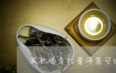 减肥喝青柑普洱茶可以吗/2023103172717