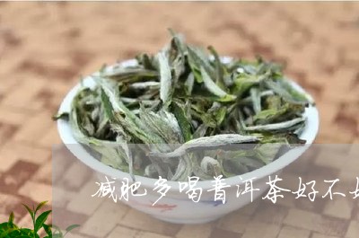 减肥多喝普洱茶好不好/2023092794047