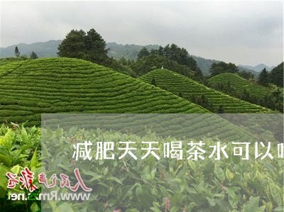 减肥天天喝茶水可以吗/2023060963038