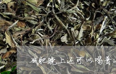 减肥晚上还可以喝普洱茶吗/2023082822503