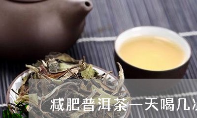 减肥普洱茶一天喝几次/2023062005205