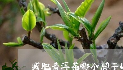 减肥普洱茶哪个牌子好/2023062737158