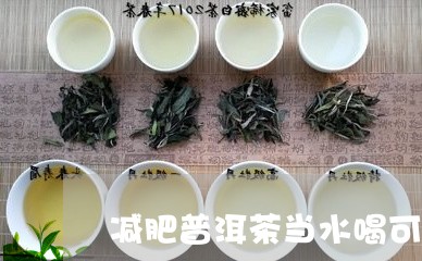 减肥普洱茶当水喝可以吗/2023101708259