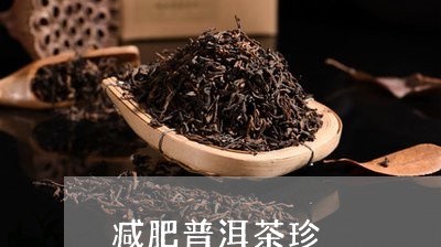 减肥普洱茶珍/2023042744764