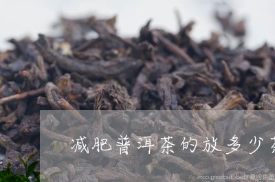 减肥普洱茶的放多少茶/2023100738481