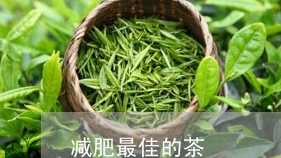 减肥最佳的茶/2023042973789