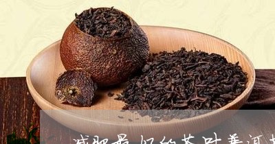 减肥最好的茶叶普洱茶/2023080148470