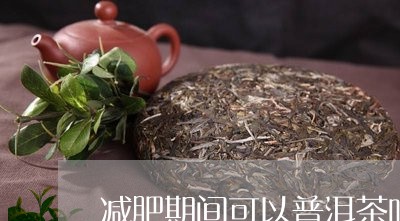 减肥期间可以普洱茶吗/2023080103703