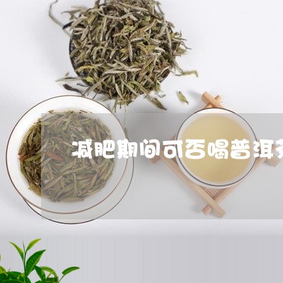 减肥期间可否喝普洱茶/2023100764718