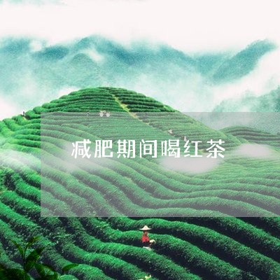 减肥期间喝红茶/2023042952539