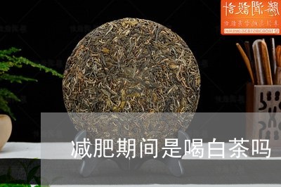 减肥期间是喝白茶吗/2023081361594