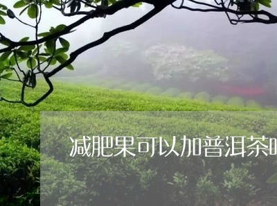 减肥果可以加普洱茶吗/2023061883826