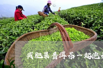 减肥果普洱茶一起泡茶/2023061416030