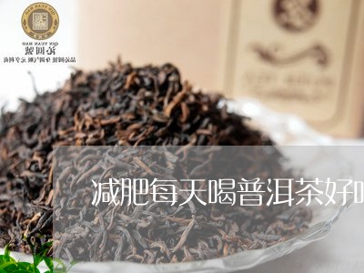 减肥每天喝普洱茶好吗/2023120667248