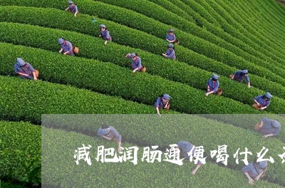 减肥润肠通便喝什么茶最好/2023051188269