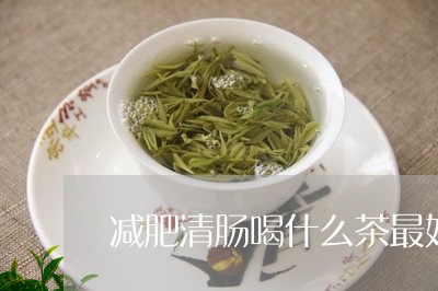 减肥清肠喝什么茶最好/2023071367259