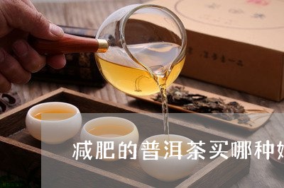 减肥的普洱茶买哪种好一点/2023081553614