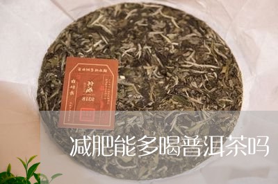 减肥能多喝普洱茶吗/2023120505847