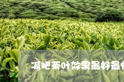 减肥茶叶效果最好最快/2023061191726