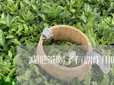 减肥茶喝了有副作用吗/2023060840571