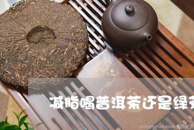 减脂喝普洱茶还是绿茶/2023062066248