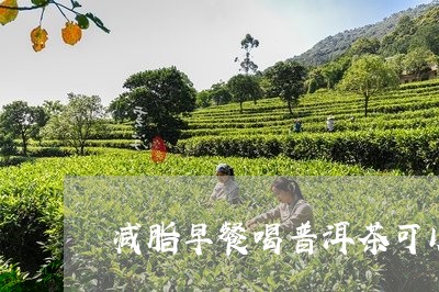 减脂早餐喝普洱茶可以吗/2023112822838