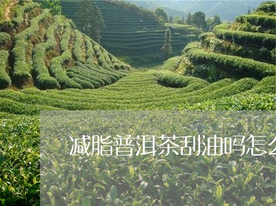 减脂普洱茶刮油吗怎么喝/2023082873704