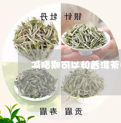 减脂期可以和普洱茶吗/2023121548362