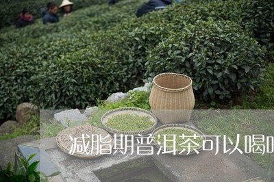 减脂期普洱茶可以喝吗女性/2023082784614