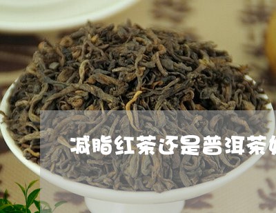 减脂红茶还是普洱茶好喝/2023082816158