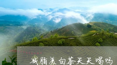 减脂美白茶天天喝吗/2023071529614