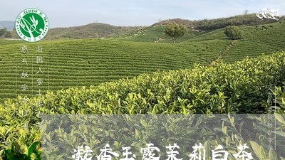 凝香玉露茉莉白茶/2023061395262