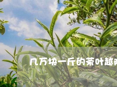 几万块一斤的茶叶越陈越香的茶是/2023060169495