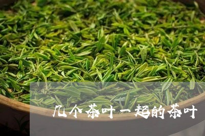 几个茶叶一起的茶叶/2023042515379