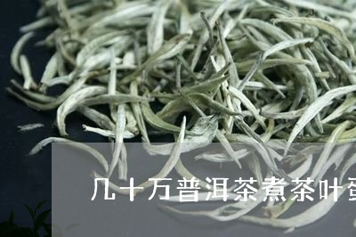 几十万普洱茶煮茶叶蛋/2023092552714