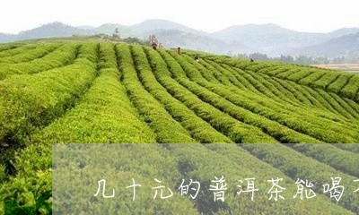 几十元的普洱茶能喝不/2023061469381