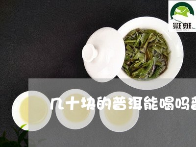 几十块的普洱能喝吗普洱茶饼如何掰/2023060328472