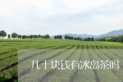 几十块钱有冰岛茶吗/2023042602950