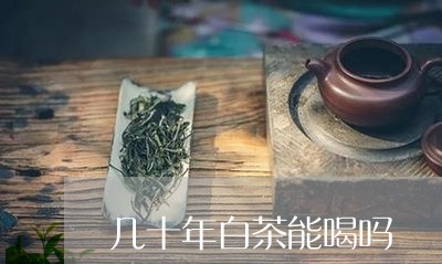 几十年白茶能喝吗/2023061378381