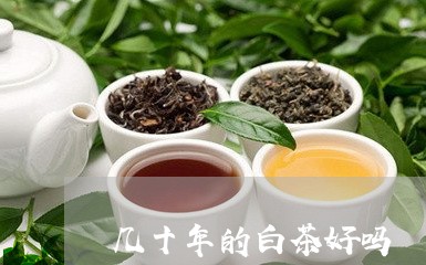 几十年的白茶好吗/2023061352241