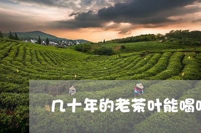 几十年的老茶叶能喝吗/2023061165059