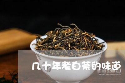 几十年老白茶的味道/2023081382838