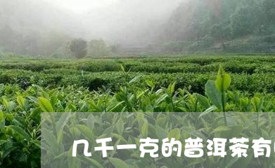 几千一克的普洱茶有哪些/2023082498403