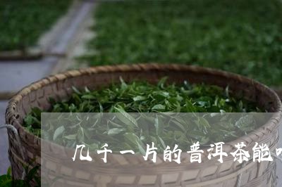 几千一片的普洱茶能喝吗/2023103159619