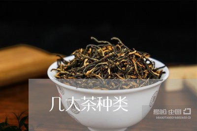 几大茶种类/2023090238379