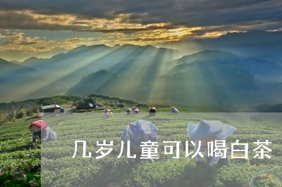 几岁儿童可以喝白茶/2023121794069