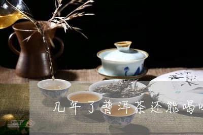 几年了普洱茶还能喝吗/2023092814128