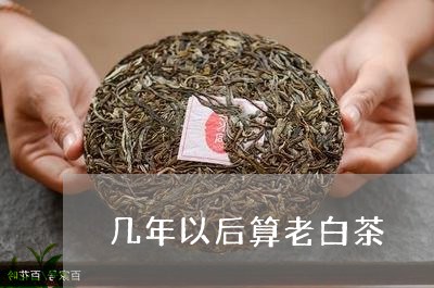 几年以后算老白茶/2023061349582