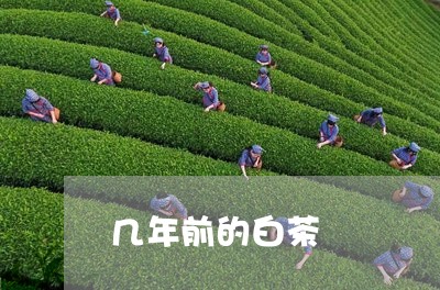 几年前的白茶/2023051300696