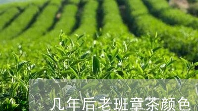 几年后老班章茶颜色/2023042841774